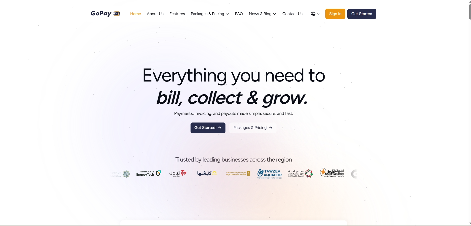 GoPay — public site home page