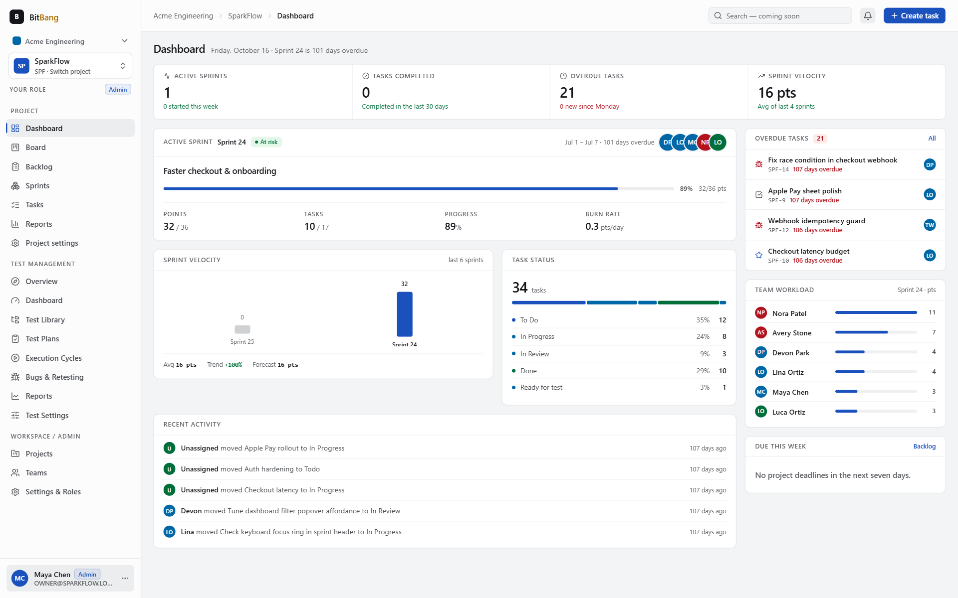 SparkFlow — project dashboard with sprint progress and team workload